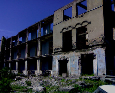 sanatorium-megobrobis-sadzi